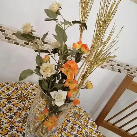 Apartment Centro